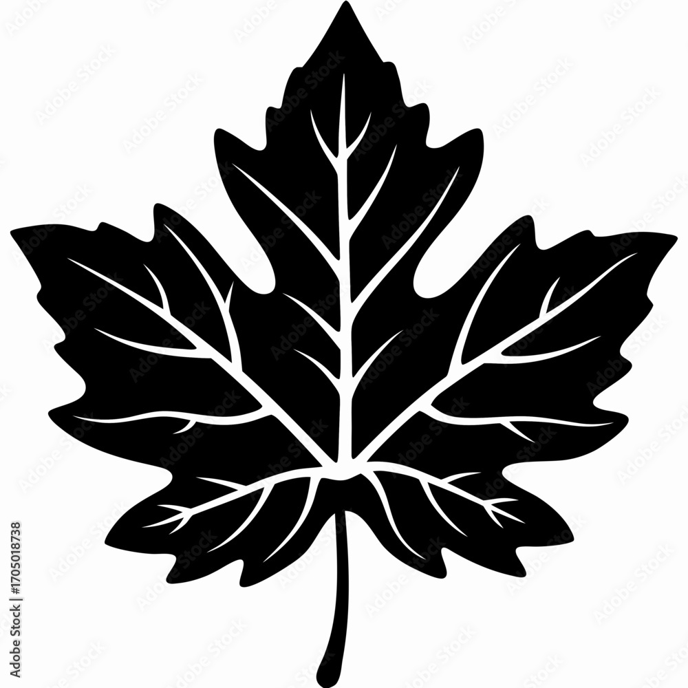 Fototapeta premium Elegant Maple Leaf Silhouette Vector Design