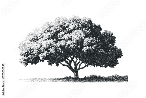 Detailed stippled rendering of a large, leafy tree on a grassy area. Vector hand drawn illustration