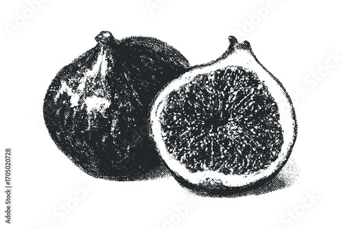 Whole and Halved Ripe Fig Fruit Image. Vector hand drawn illustration