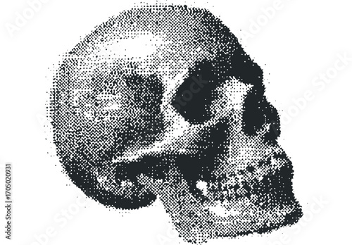 Halftone Skull Fragment. Vector hand drawn illustration