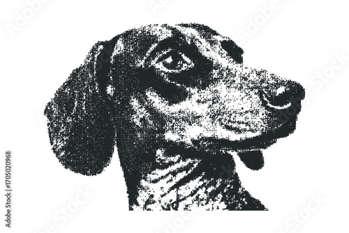 Stippled portrait of a dog's head in profile,. Vector hand drawn illustration