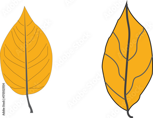 Elegant Autumn Leaf Vector Collection
