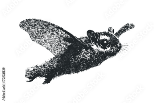 Gliding Flying Squirrel Image with Dot Texture. Vector hand drawn illustration