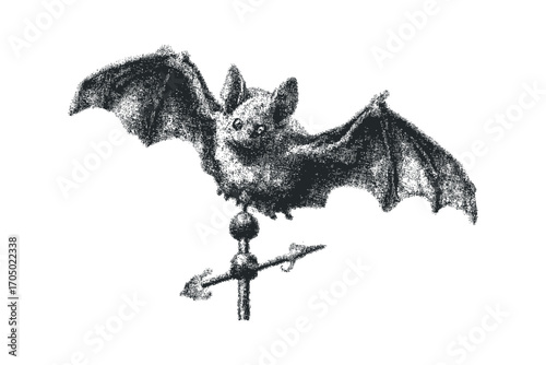 Bat with weather vane on transparent background. Vector hand drawn illustration