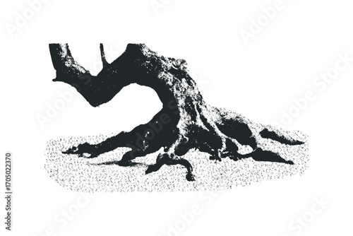 Detailed organic tree root system with textured effect on transparent background. Vector hand drawn illustration