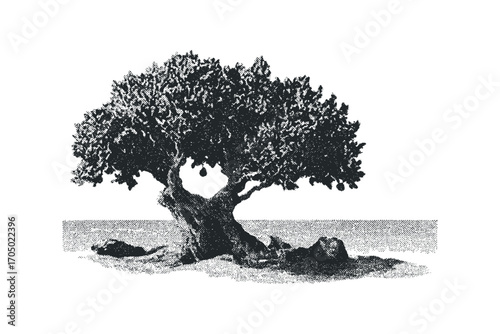 Detailed ink wash illustration of a solitary, gnarled tree on a rocky shore. Vector hand drawn illustration