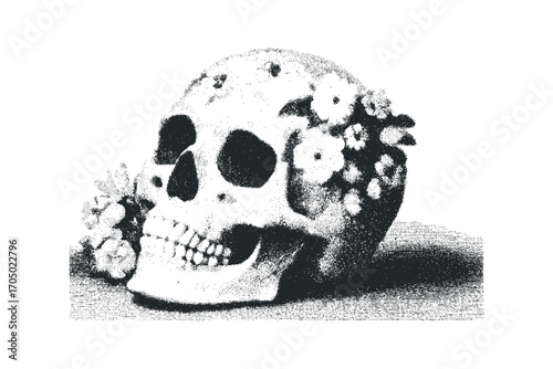 Skull adorned with flowers, image, transparent background. Vector hand drawn illustration