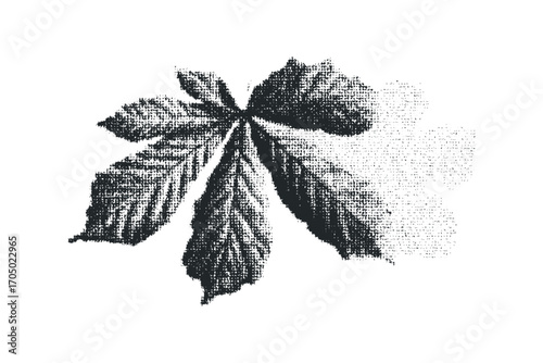 Halberd leaf rendered in textured dots on transparent background. Vector hand drawn illustration