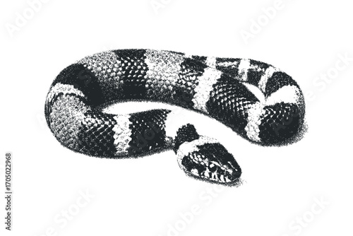 Black and white snake coiled on transparent background. Vector hand drawn illustration