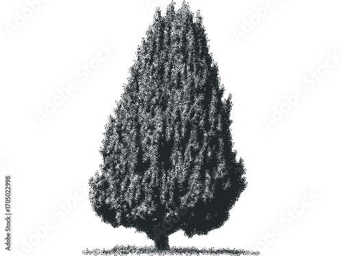 Conifer tree shape with stippling effect on transparent background. Vector hand drawn illustration