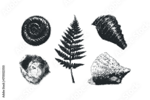 Halftone style natural objects collection transparent. Vector hand drawn illustration