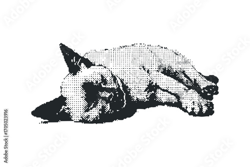 Feline companion resting peacefully on a transparent background. Vector hand drawn illustration