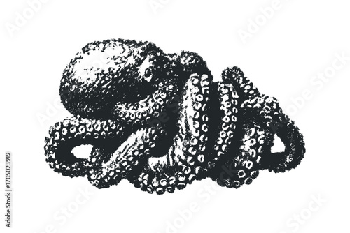 Textured black octopus with tentacles on transparent background. Vector hand drawn illustration