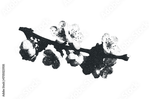 Halftone effect flowering branch transparent background. Vector hand drawn illustration