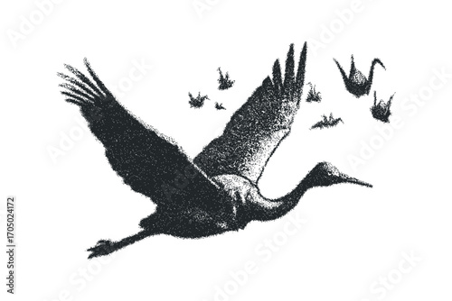 Stork birds in flight stippled graphic. Vector hand drawn illustration