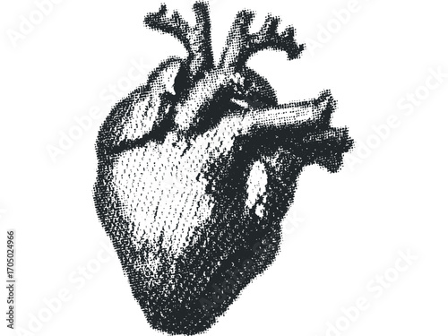 Monochromatic Halftone Heart Shape. Vector hand drawn illustration