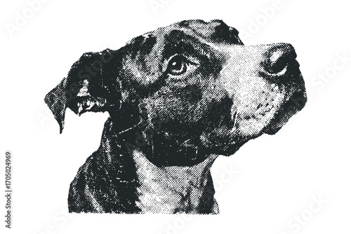 Vintage halftone dog portrait with compassionate expression. Vector hand drawn illustration
