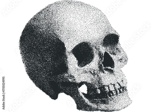 Stippled Skull Fragment. Vector hand drawn illustration