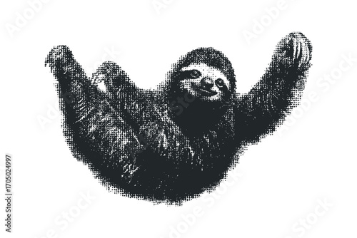 Sloth hanging with arms outstretched in grainy black and white texture. Vector hand drawn illustration