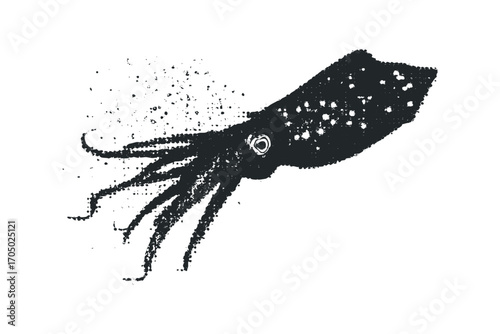 Squid marine animal ink splash effect. Vector hand drawn illustration