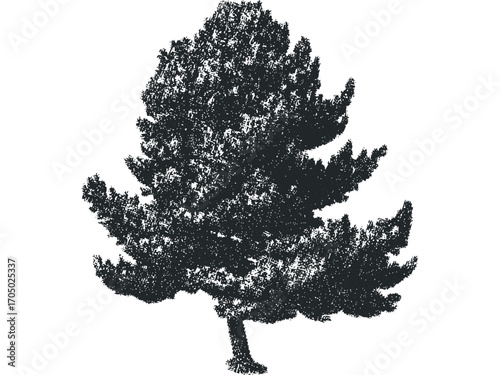 Textured dark silhouette of a pine tree on a transparent background. Vector hand drawn illustration