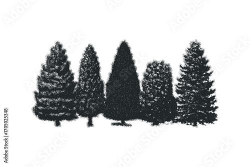 Group of Evergreen Trees on Transparent Background. Vector hand drawn illustration