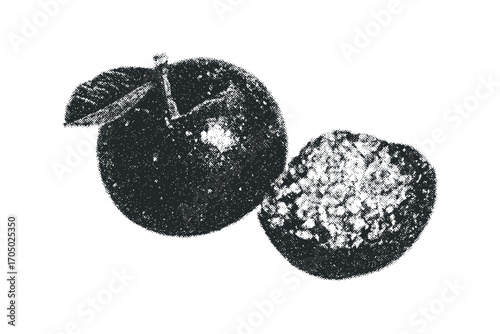 Whole and halved fruit with leaves on transparent background. Vector hand drawn illustration