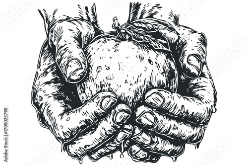 Hands holding a juicy apple with water droplets on transparent background. Vector hand drawn illustration