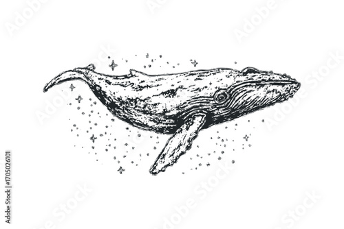 Whale swimming through starry, abstract cosmic void with swirling celestial elements. Vector hand drawn illustration