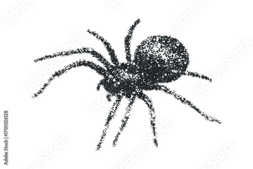 Stippled spider on transparent background. Vector hand drawn illustration