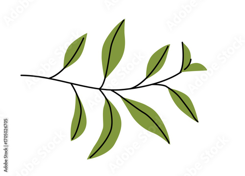 Green tea branch with leaves. Flat vector illustration isolated on white background. Herbal plant and organic ingredient.