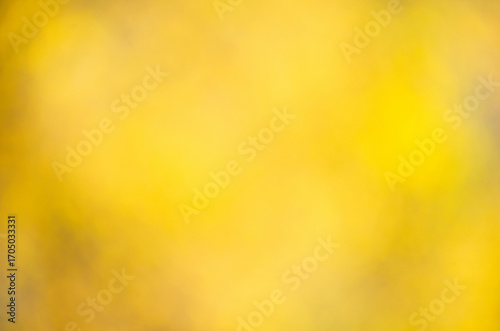 blurred abstract autumn background texture