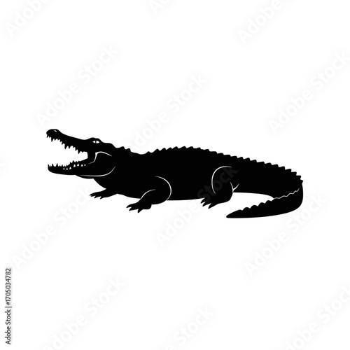 crocodile on white