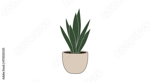 green plant in pot