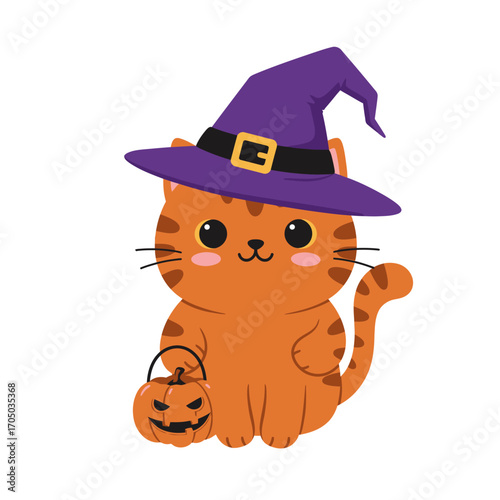 halloween cat and pumpkin