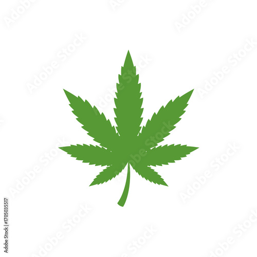 cannabis leaf isolated on white