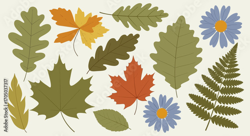 Colorful flat vector illustration set of autumn leaves, fern frond, and blue daisy flowers.