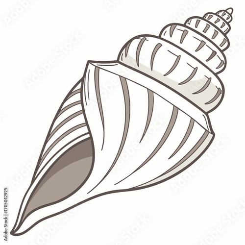 Stylized illustration of a detailed spiral seashell with ribbed texture and a pointed end on a white background