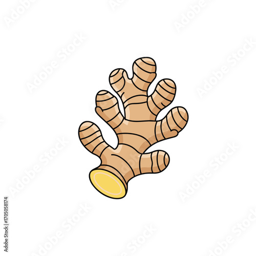 A healthy and fresh ginger root with segmented fingers and a yellow base.
