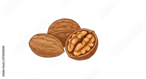 Walnut