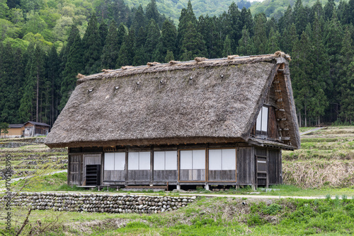 Typical traditional thick gassho zukuri style roof in Shirakawago in Central Japan during springtime.