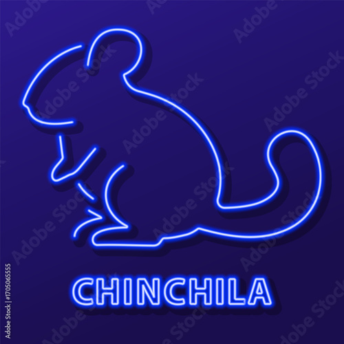 chinchila neon sign, modern glowing banner design, colorful modern design trends on black background. Vector illustration.