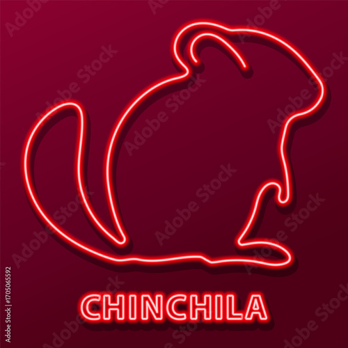 chinchila neon sign, modern glowing banner design, colorful modern design trends on black background. Vector illustration.