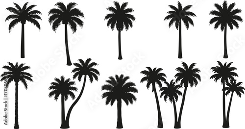 Set of tropical palm tree silhouettes with exotic leaves and tall trunks, vector collection for beach, summer, island, paradise design