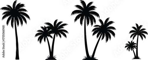 Collection of tropical palm tree silhouettes isolated on white background, coconut trees vector illustration, summer nature design elements for decoration