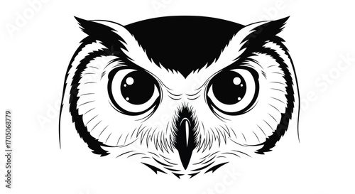 Vector illustration of closeup of an owls face