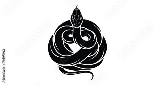 Vector illustration of coiled snake silhouette
