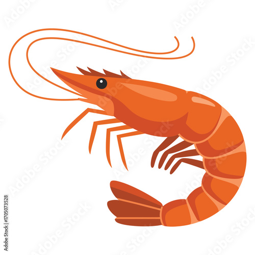 cooked shrimp on white background