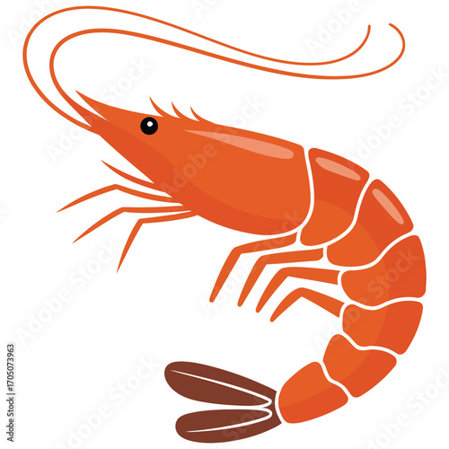 shrimp on white background
