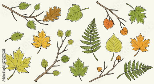 A colorful hand-drawn collection of various autumn leaves and branches, including maple, oak, and fern illustrations.